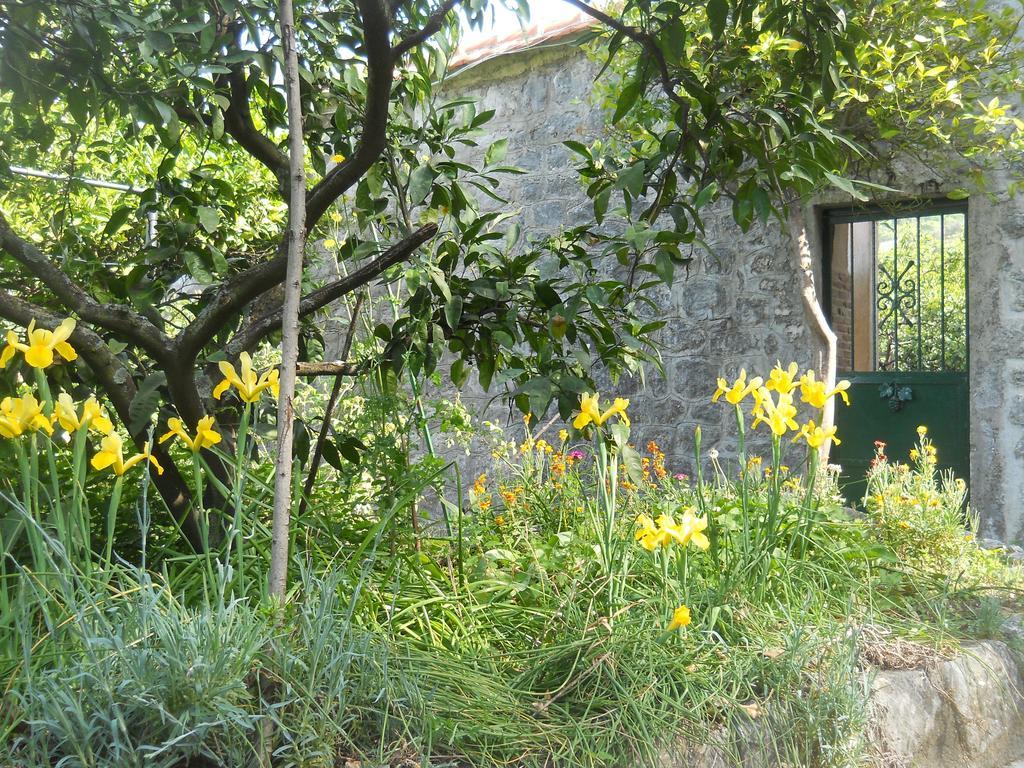 Apartments In Rustic House Risan Dış mekan fotoğraf