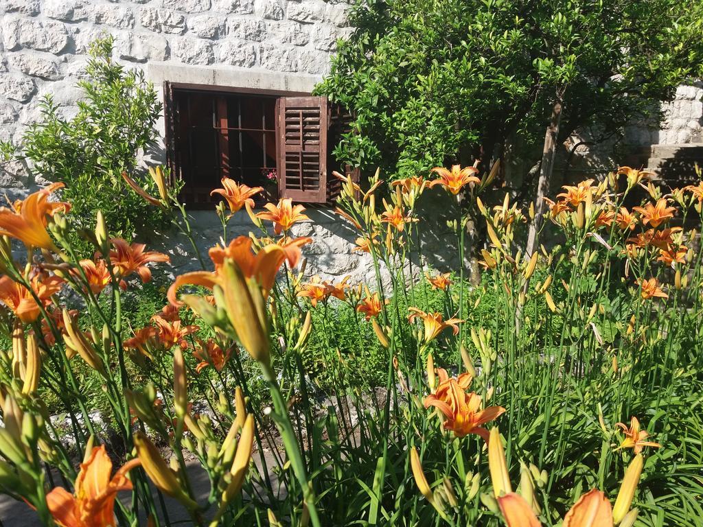 Apartments In Rustic House Risan Dış mekan fotoğraf