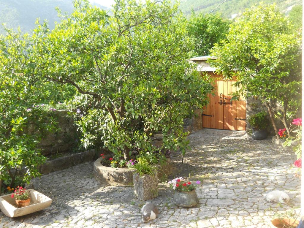 Apartments In Rustic House Risan Dış mekan fotoğraf